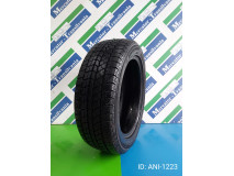 225/55 R19 Doublestar, Winter King DW02 99T